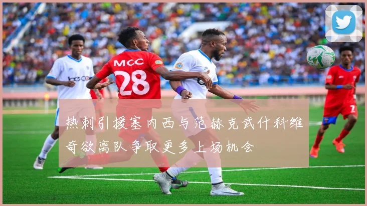 热刺引援塞内西与范赫克武什科维奇欲离队争取更多上场机会
