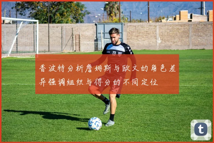 香波特分析詹姆斯与欧文的角色差异强调组织与得分的不同定位